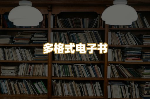 多格式电子书